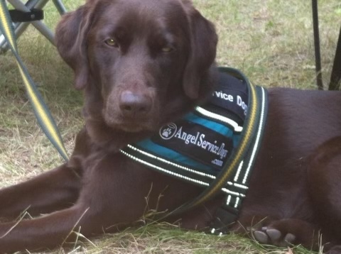 Tracy And The Cost of Empathy